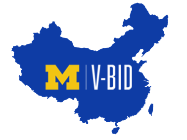 V-BID in China 2