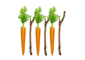 carrots and sticks