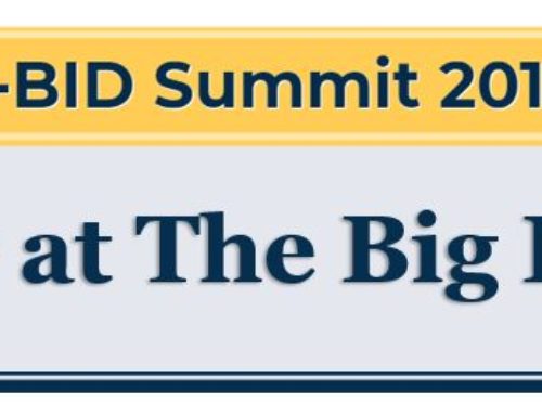 V-BID Summit 2018